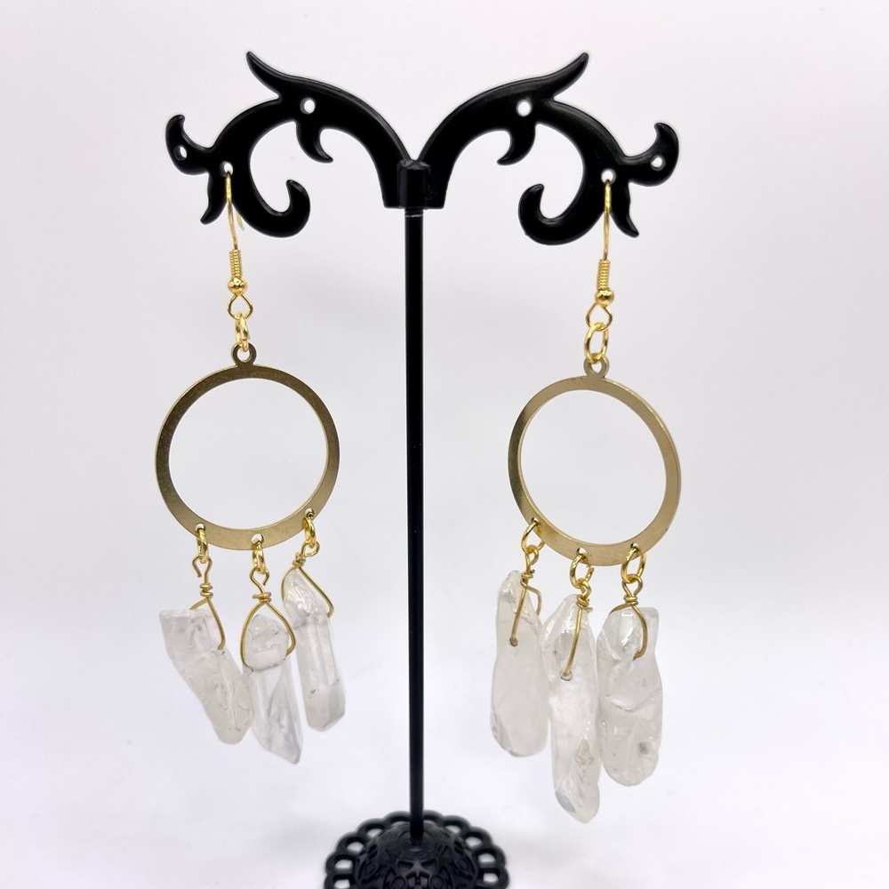 Earrings